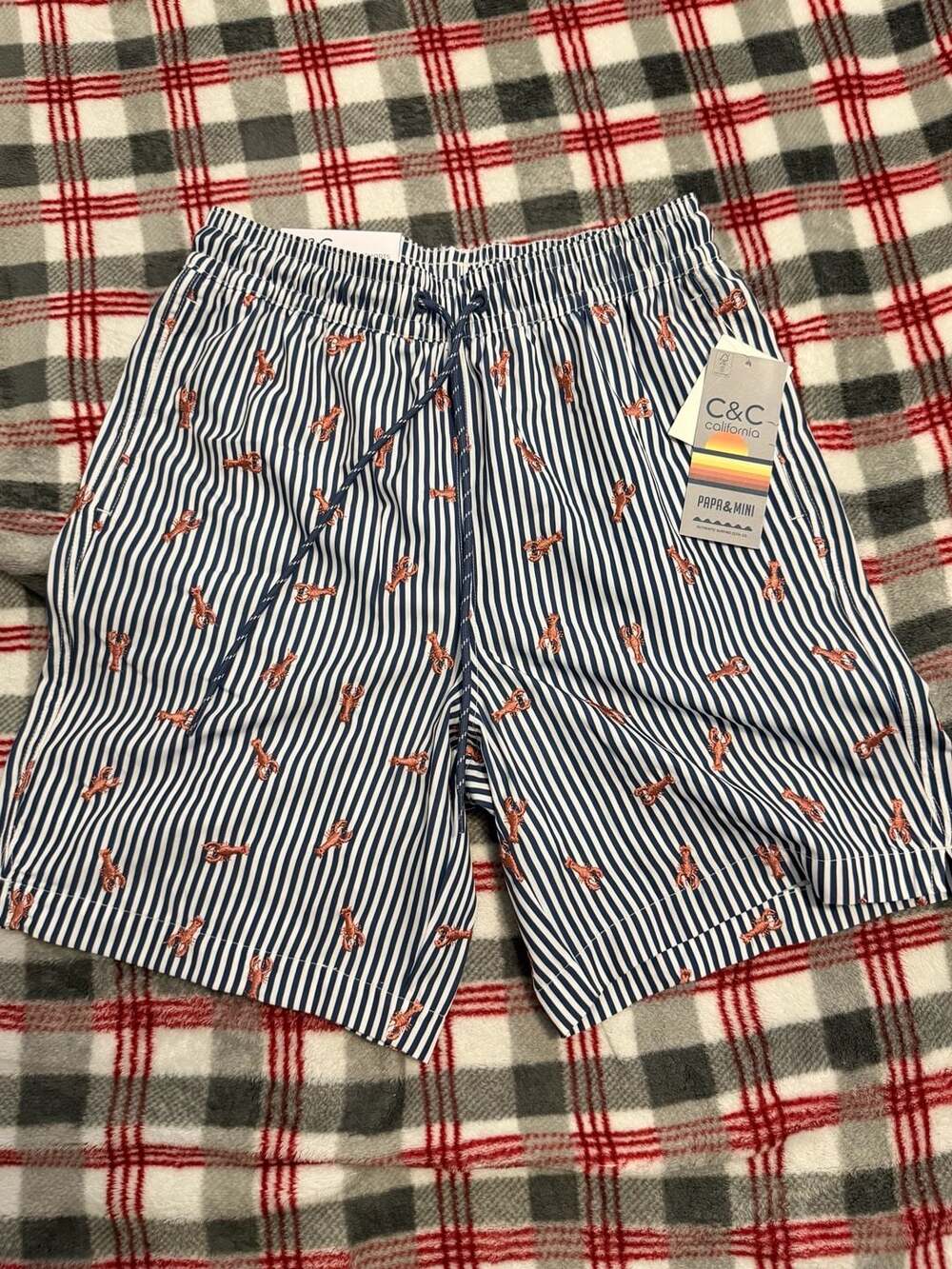 C&C California Papa & Mini Striped Lobster Print Swim Shorts